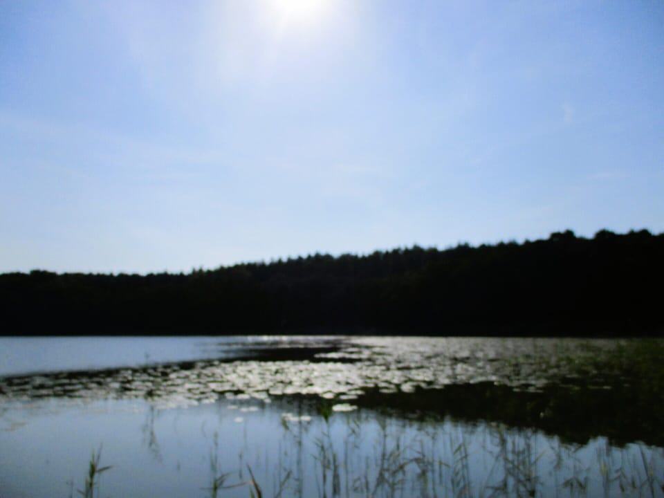 House | View from property