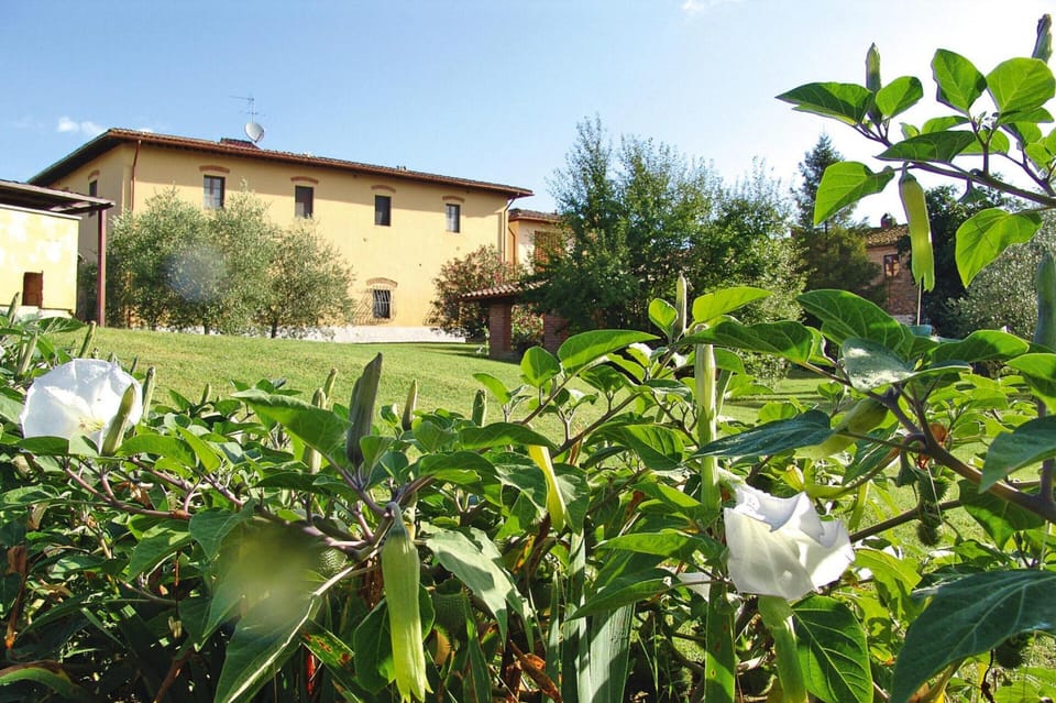 Apartment | Exterior