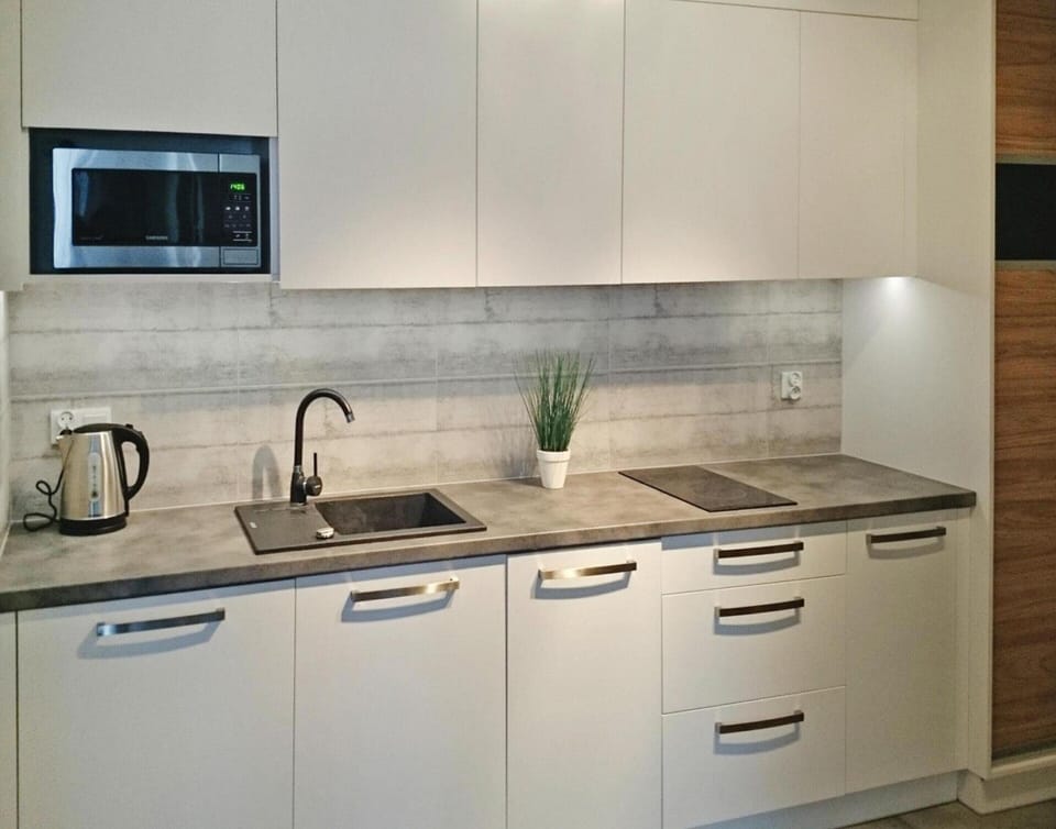 Apartment | Private kitchen | Electric kettle, toaster