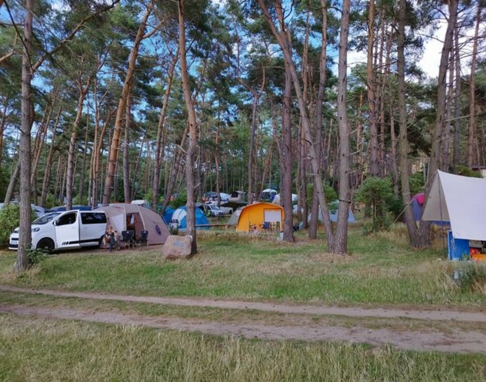 Apartment | View from property