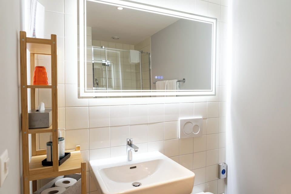 Superior Double Room | Bathroom | Shower, eco-friendly toiletries, hair dryer, towels