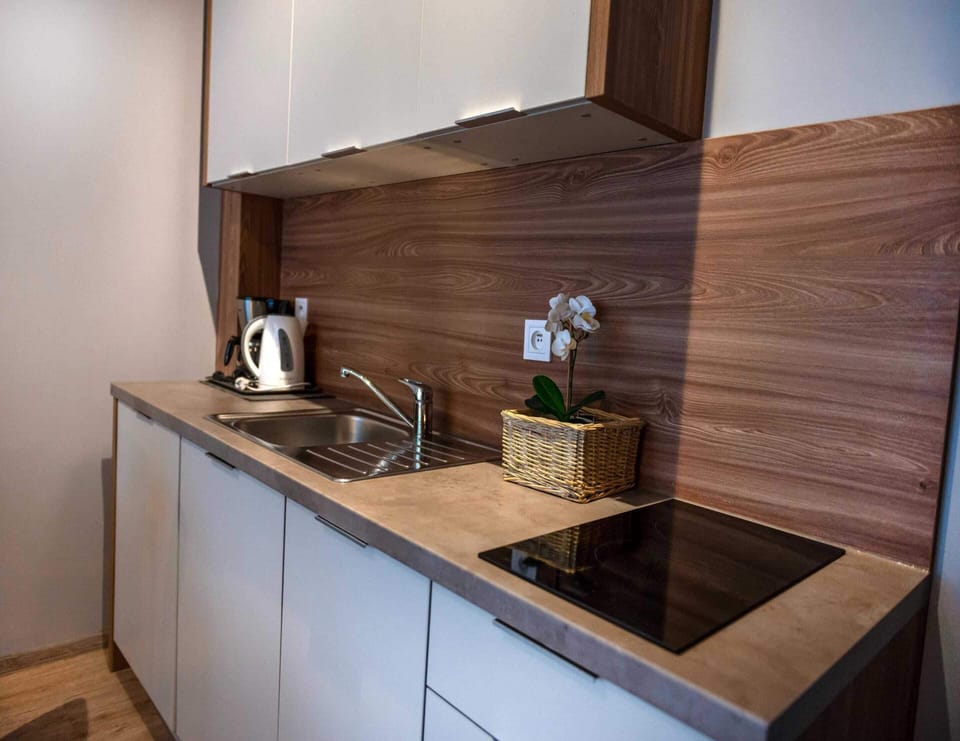 Apartment | Private kitchen | Electric kettle, highchair