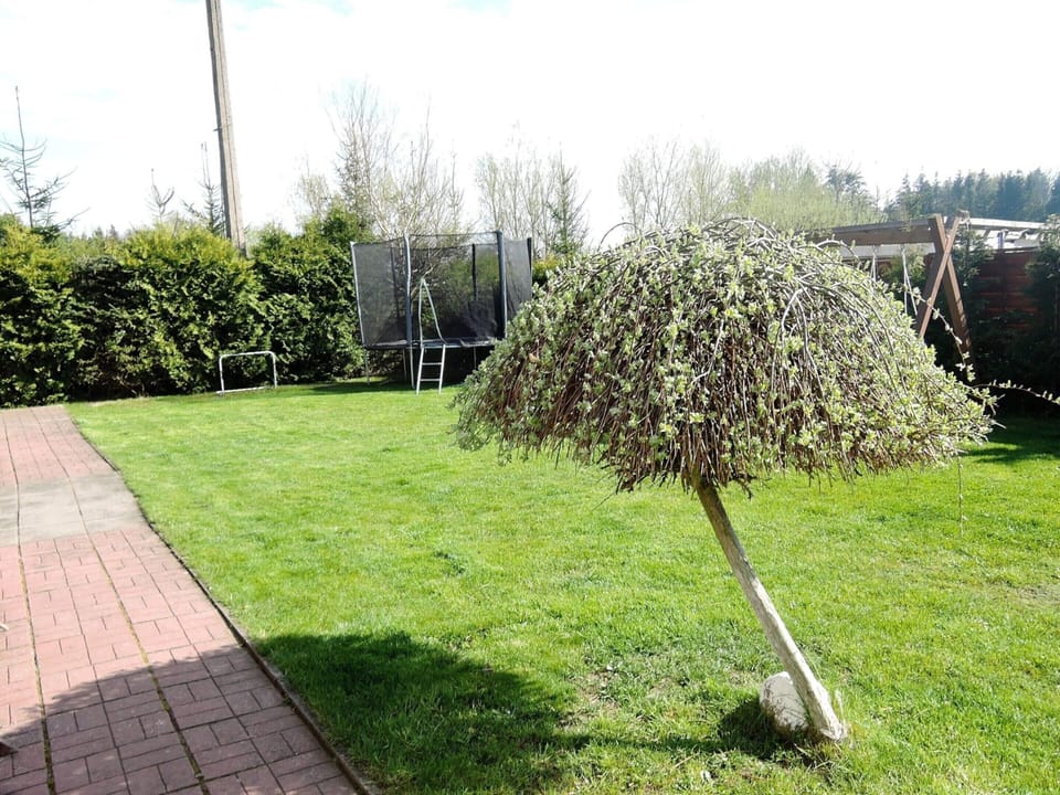 House | Garden