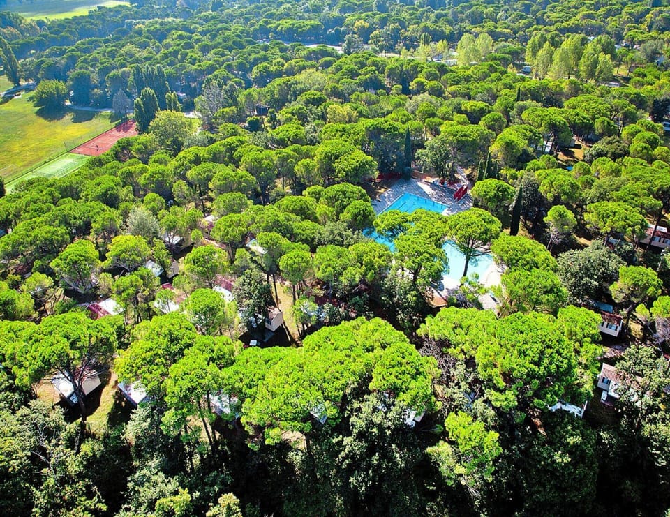 Bungalow | View from property