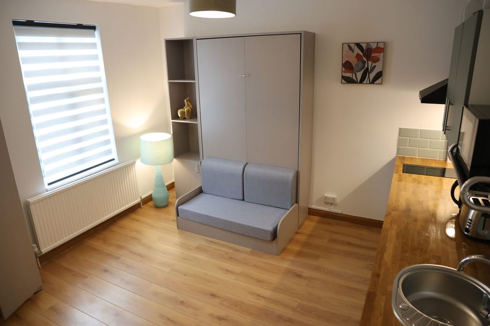 Deluxe Studio | Living area | Flat-screen TV