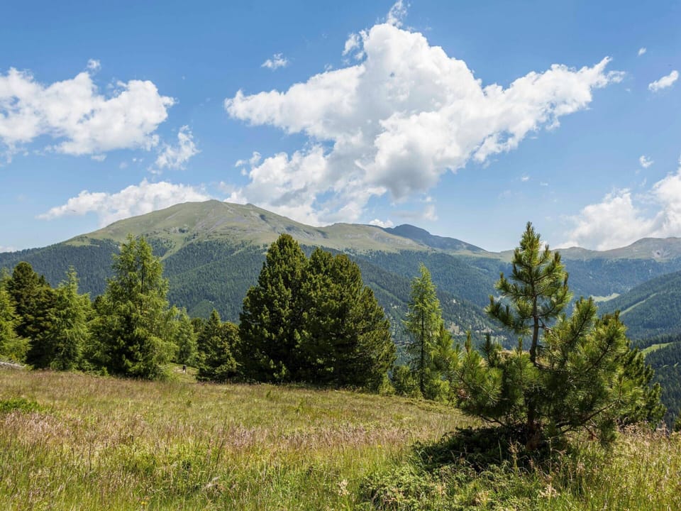 Chalet | View from property