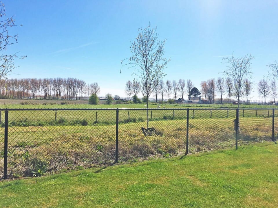 House | View from property
