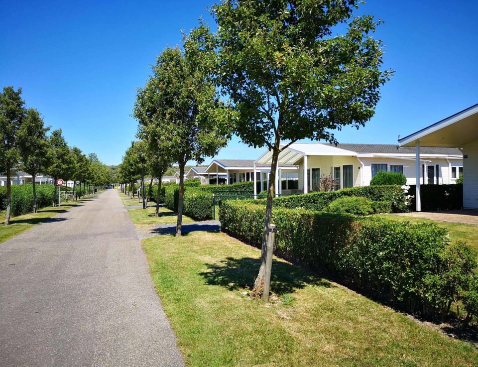 House | View from property
