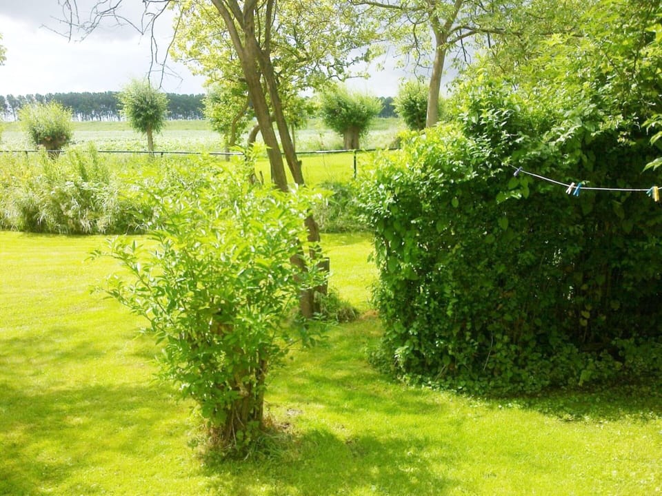 House | Garden