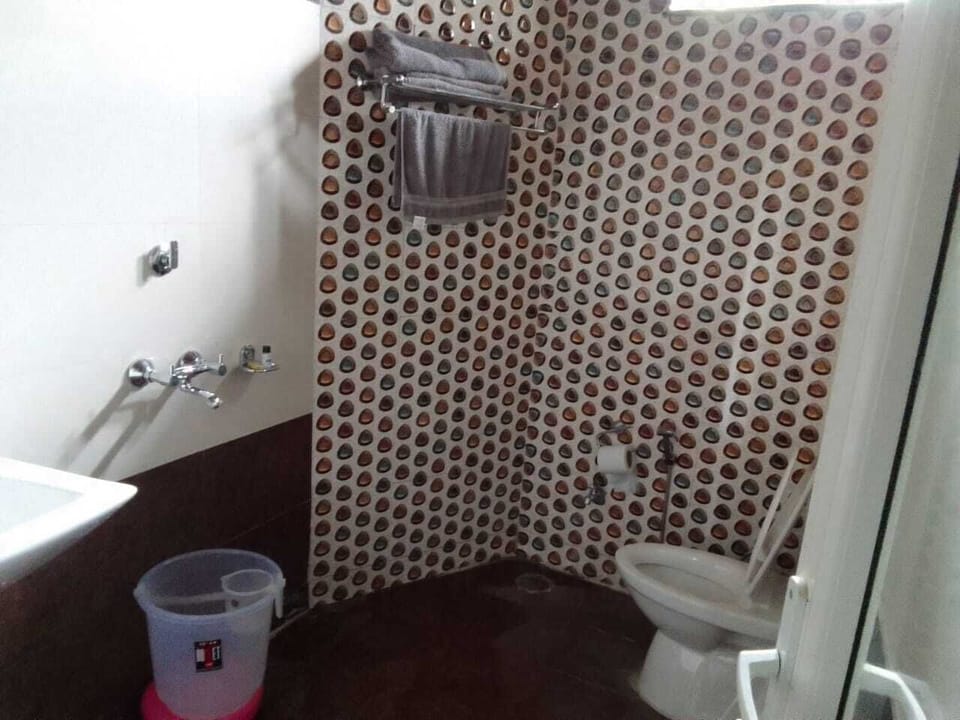 Shower, towels, soap, toilet paper