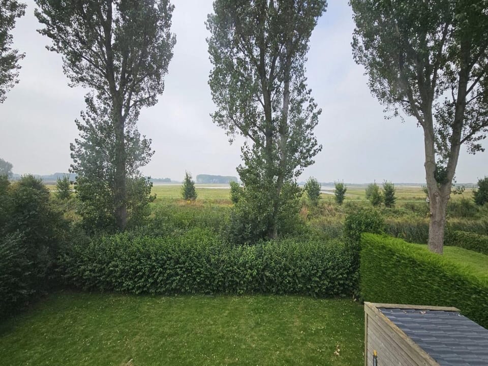 House | View from property