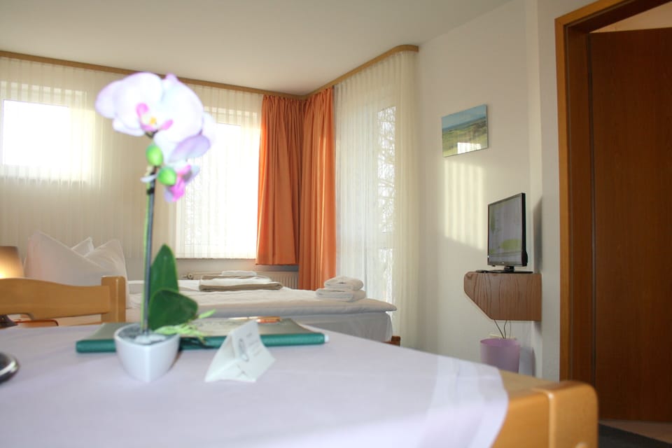 Comfort Double Room | WiFi (free), bed sheets