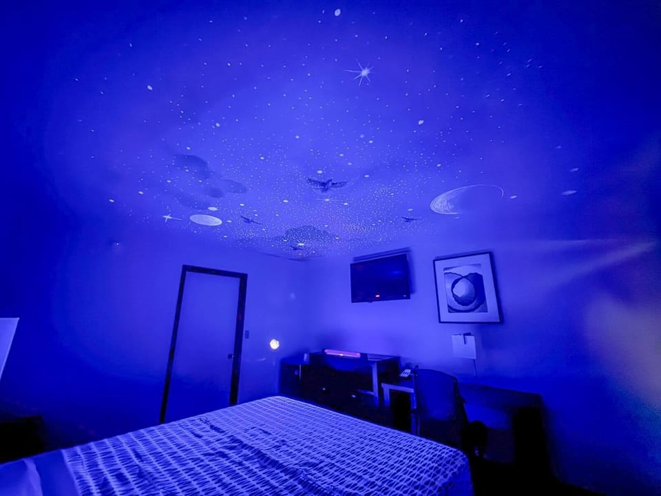 Single Room | Desk, laptop workspace, free WiFi, bed sheets