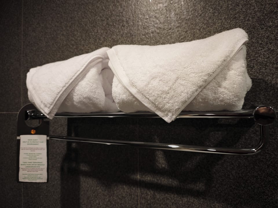 Shower, free toiletries, hair dryer, towels