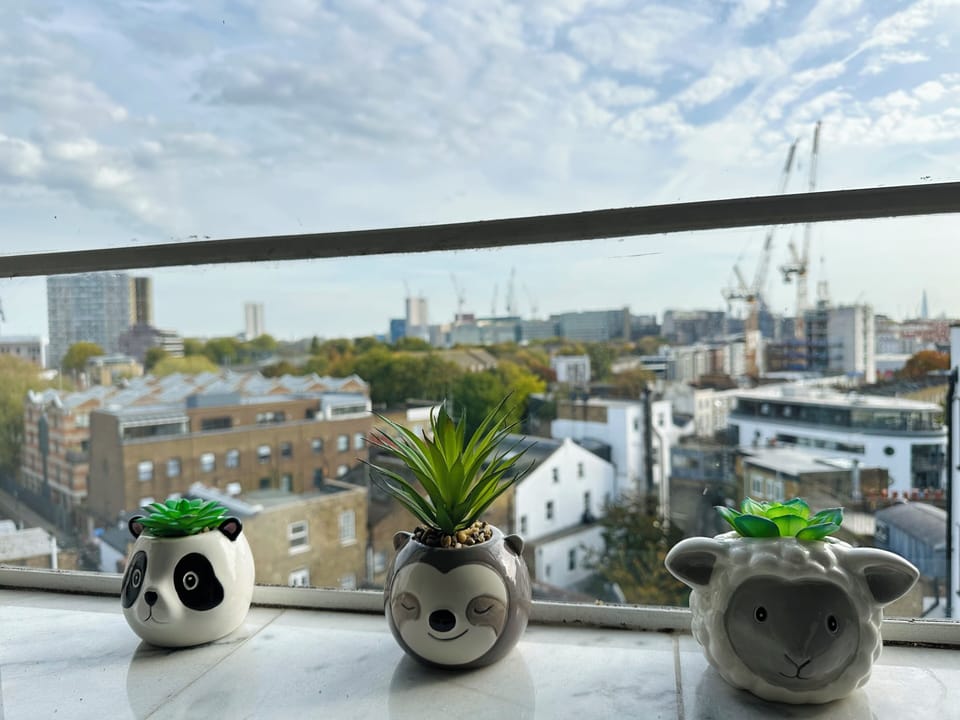 Standard Apartment, City View | City view