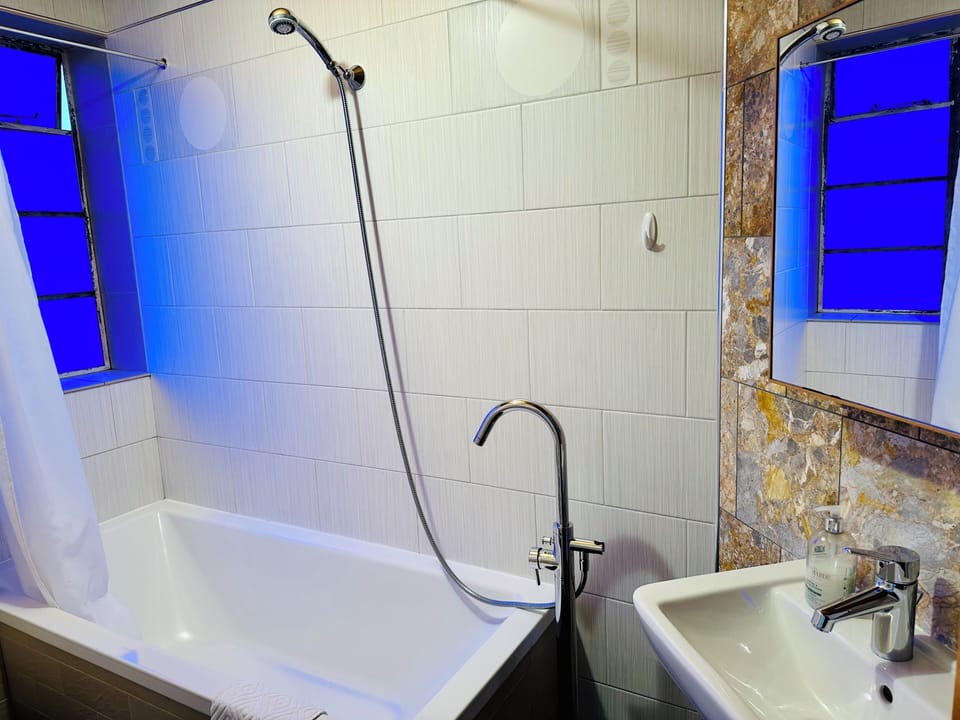 Standard Apartment, City View | Bathroom | Combined shower/tub, hair dryer, towels, soap