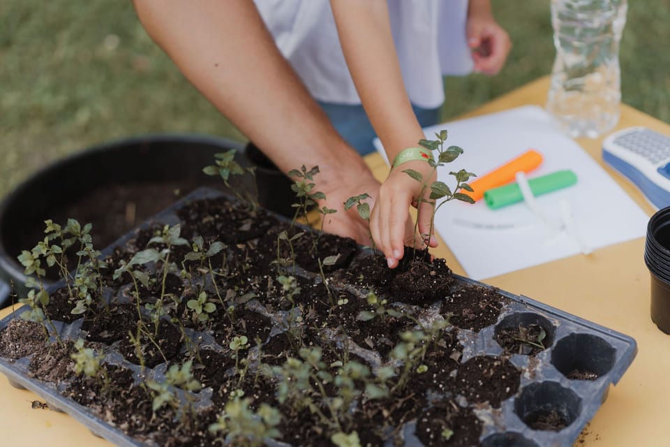 Children's activities