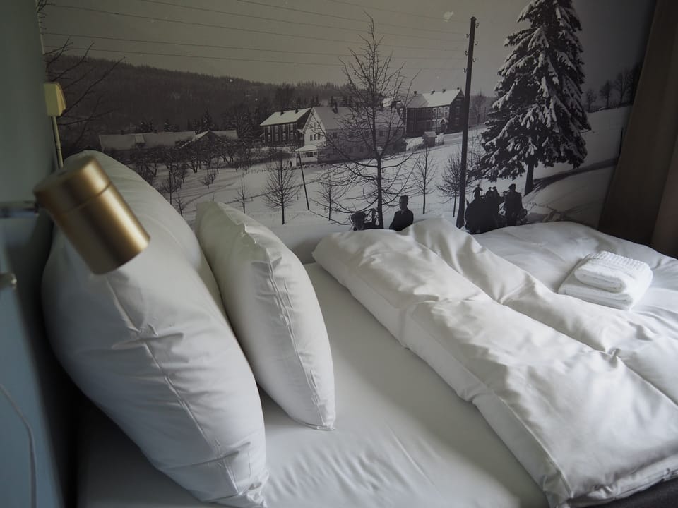 Single Room | Down comforters, pillowtop beds, free WiFi, bed sheets