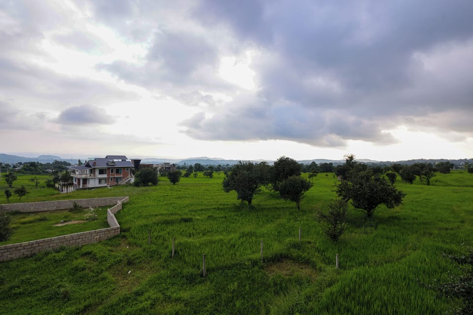 Deluxe House | View from room
