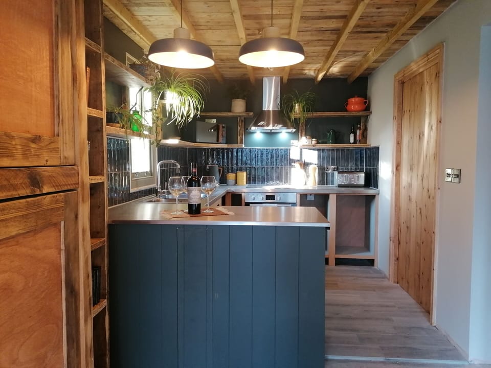 Cabin | Private kitchen | Fridge, microwave, oven, stovetop
