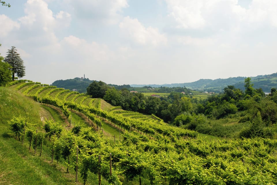 Land view from property