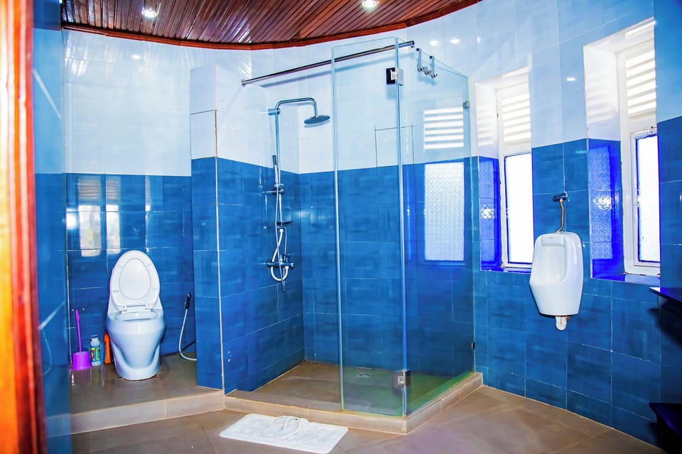 Shower, towels