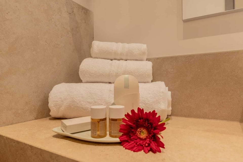 Shower, hair dryer, bidet, towels