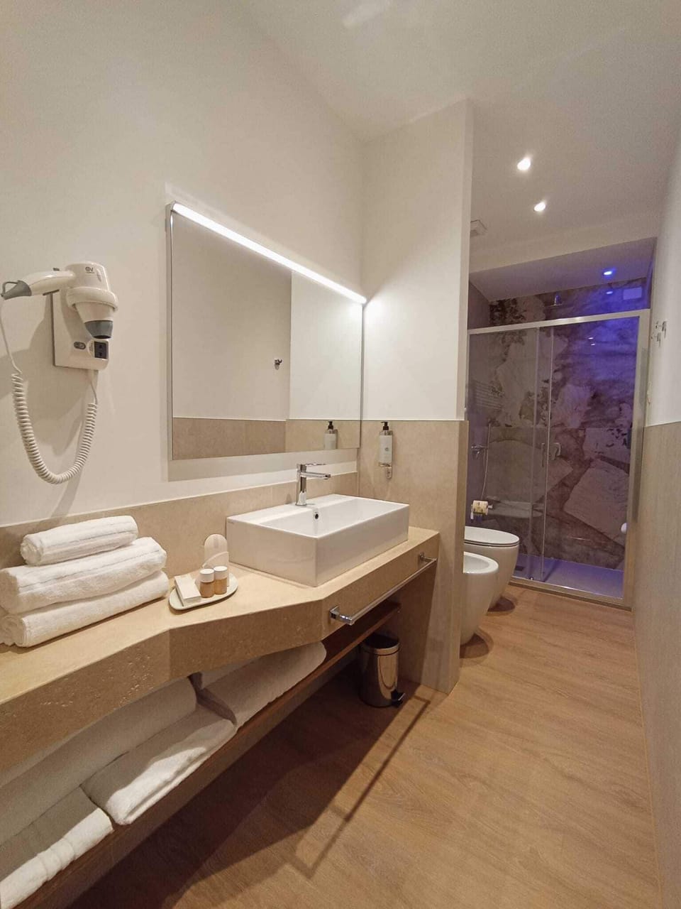 Deluxe Double Room, 1 Queen Bed, Non Smoking | Bathroom | Shower, hair dryer, bidet, towels