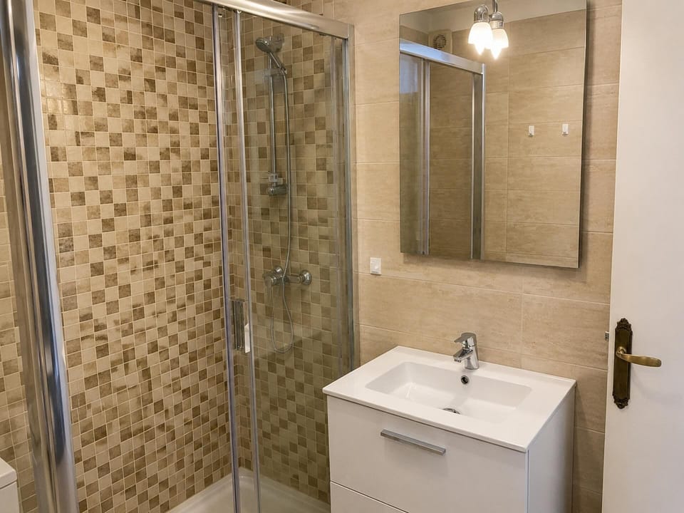 Shower, towels, toilet paper