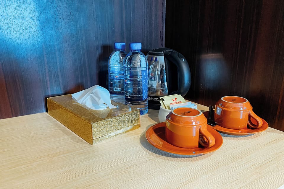 Minibar, desk, iron/ironing board (on request), WiFi (free)