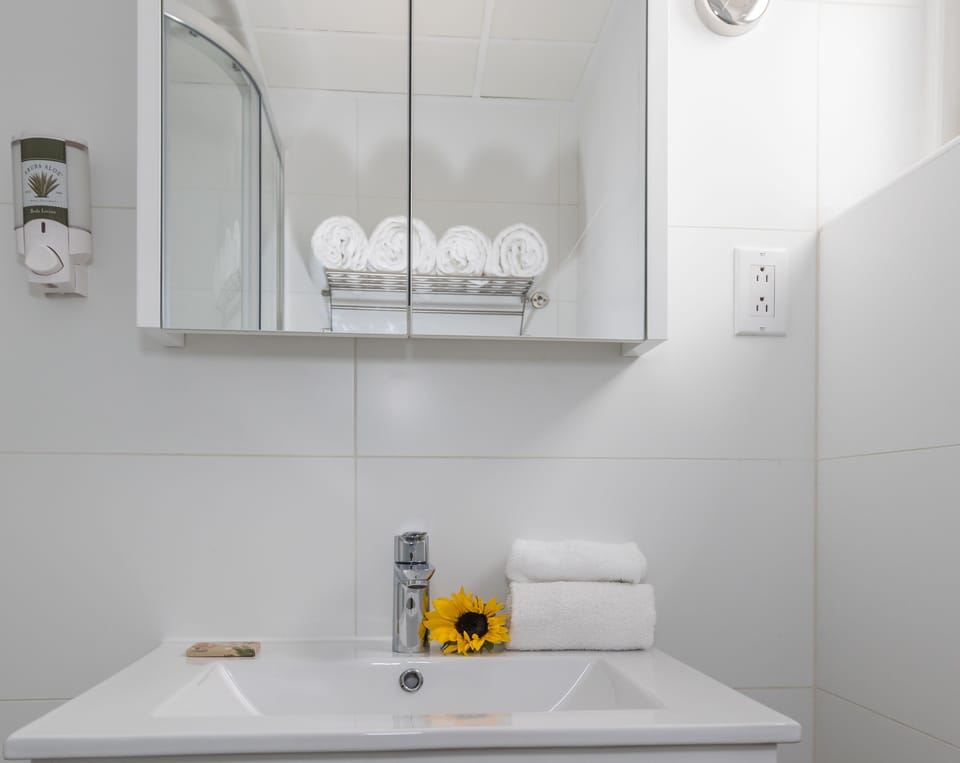Double Room | Bathroom sink