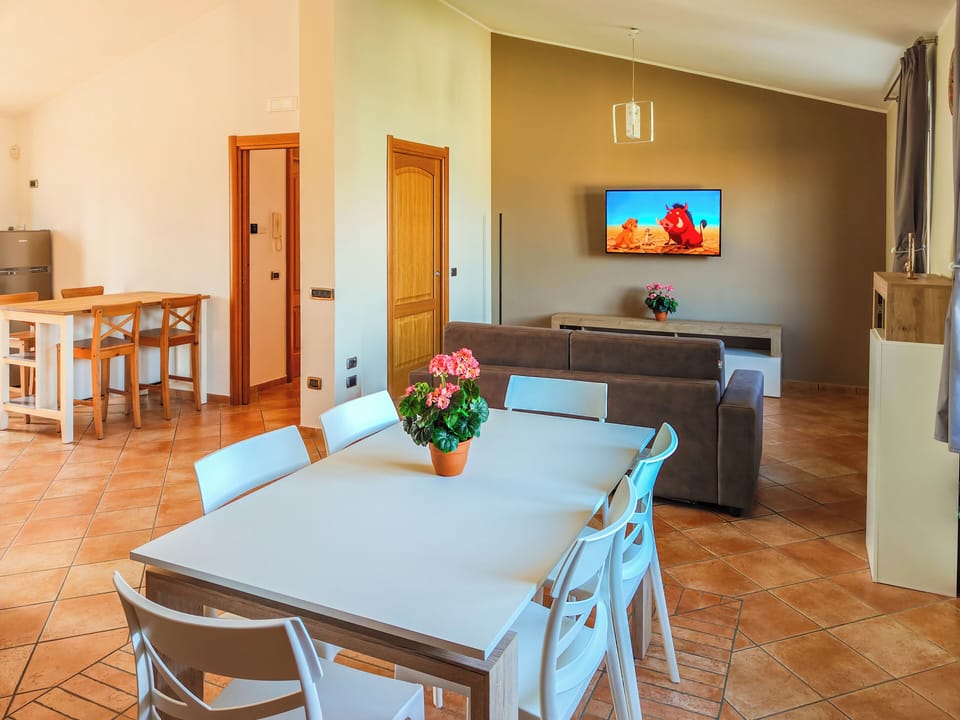 Flat-screen TV