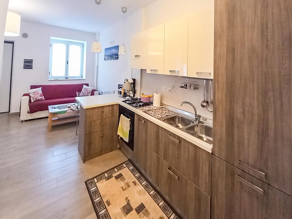 Apartment, 2 Bedrooms, Terrace | Private kitchen | Fridge, microwave, oven, stovetop