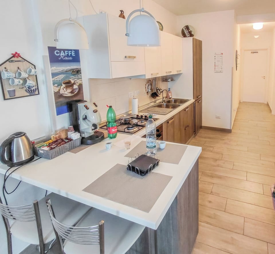 Apartment, 2 Bedrooms, Terrace | Private kitchen | Fridge, microwave, oven, stovetop