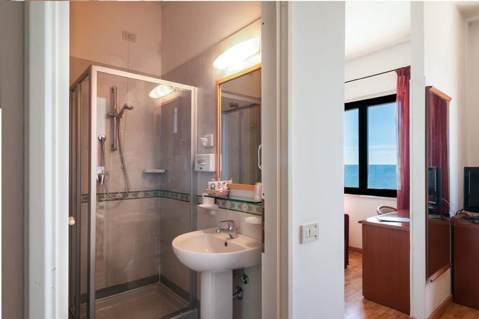 Hair dryer, bidet, towels