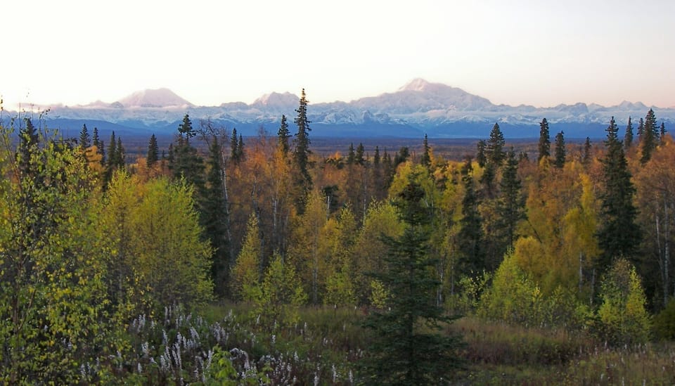 Mountain view