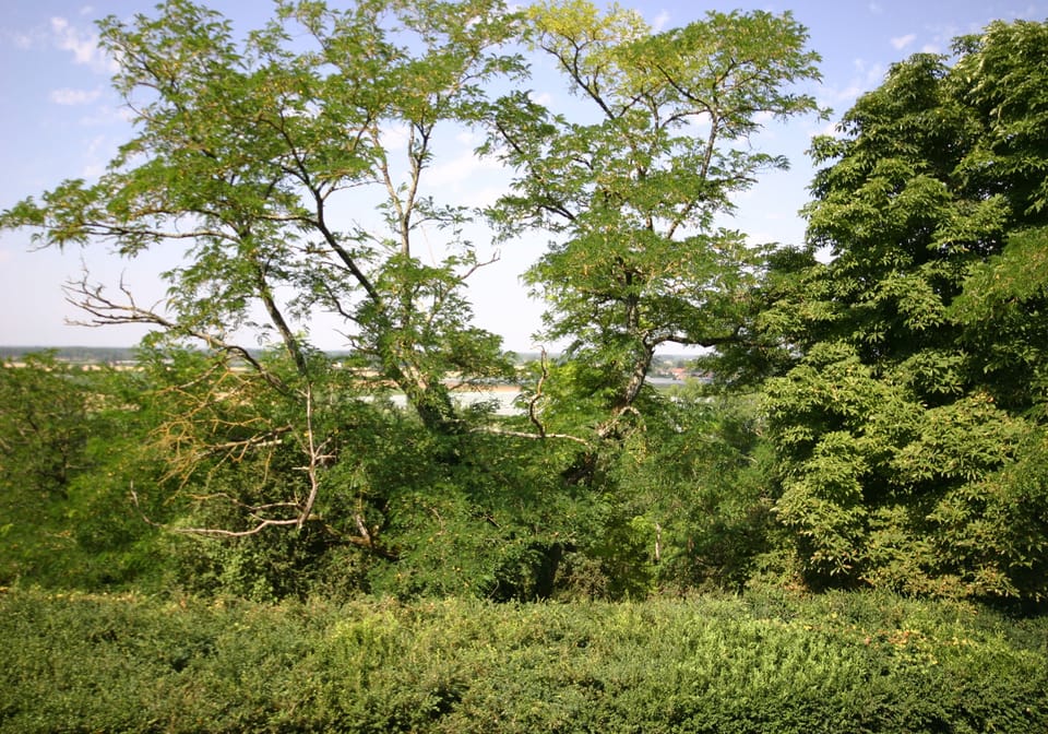 Double Room, Accessible | Park view