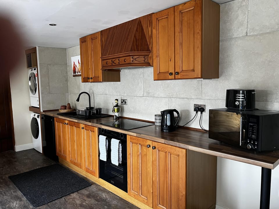 Cabin | Private kitchen | Fridge, microwave, oven, stovetop