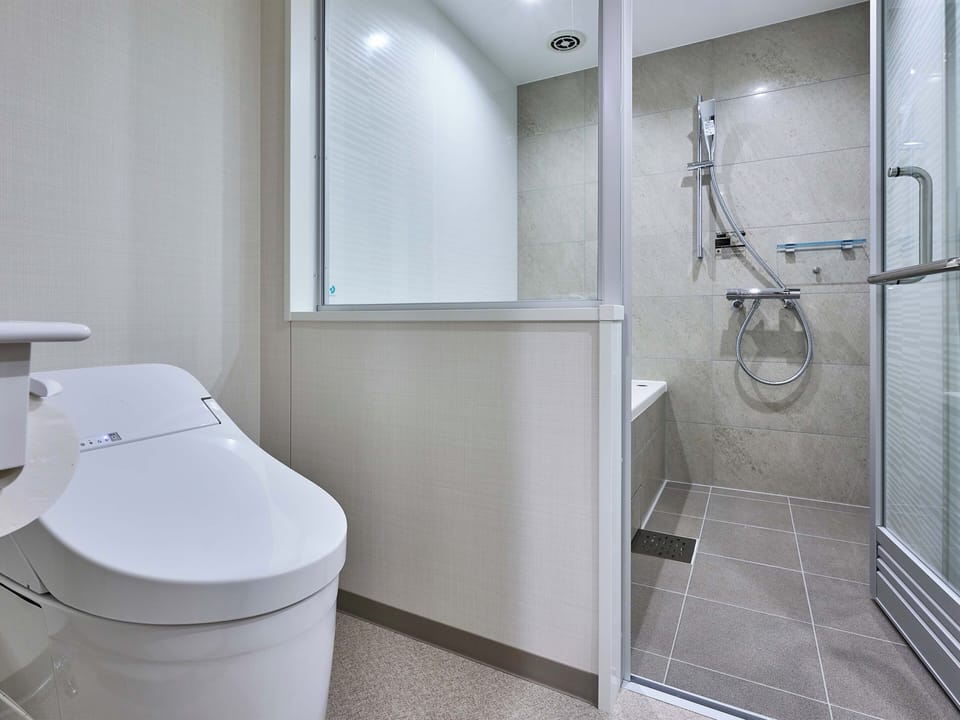 Hair dryer, slippers, towels, shampoo