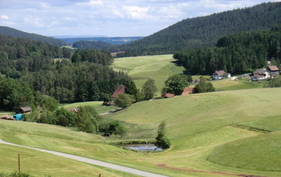 Classic Apartment, 1 Bedroom | View from property
