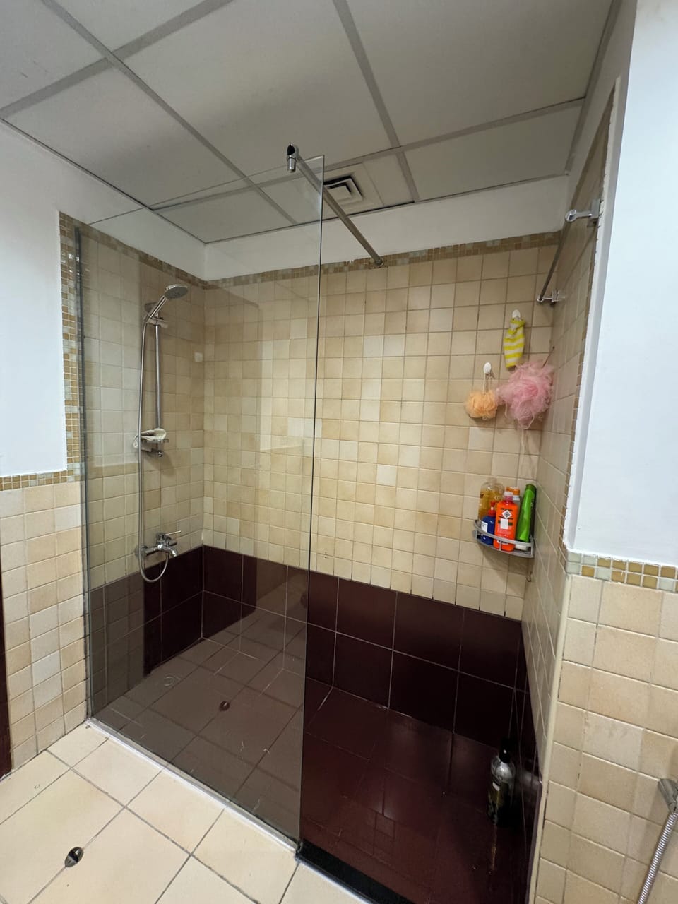 Shared Dormitory, Mixed Dorm, Non Smoking, Partial Lake View | Bathroom | Shower, toilet paper
