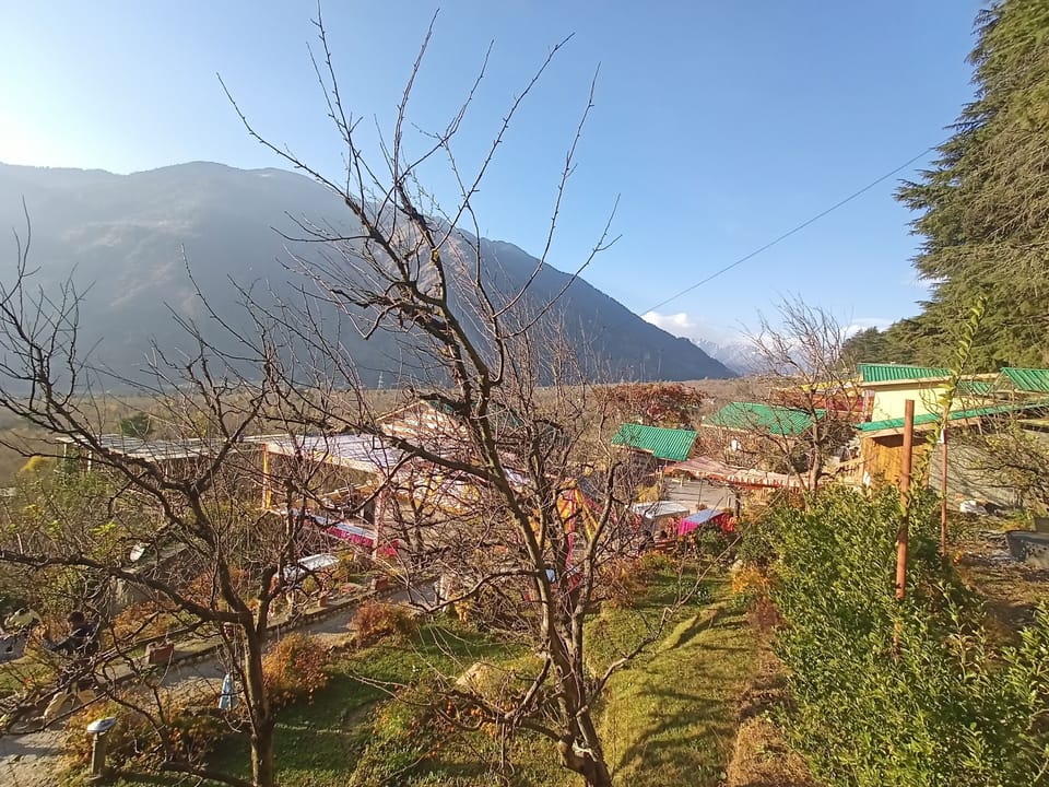 View from property