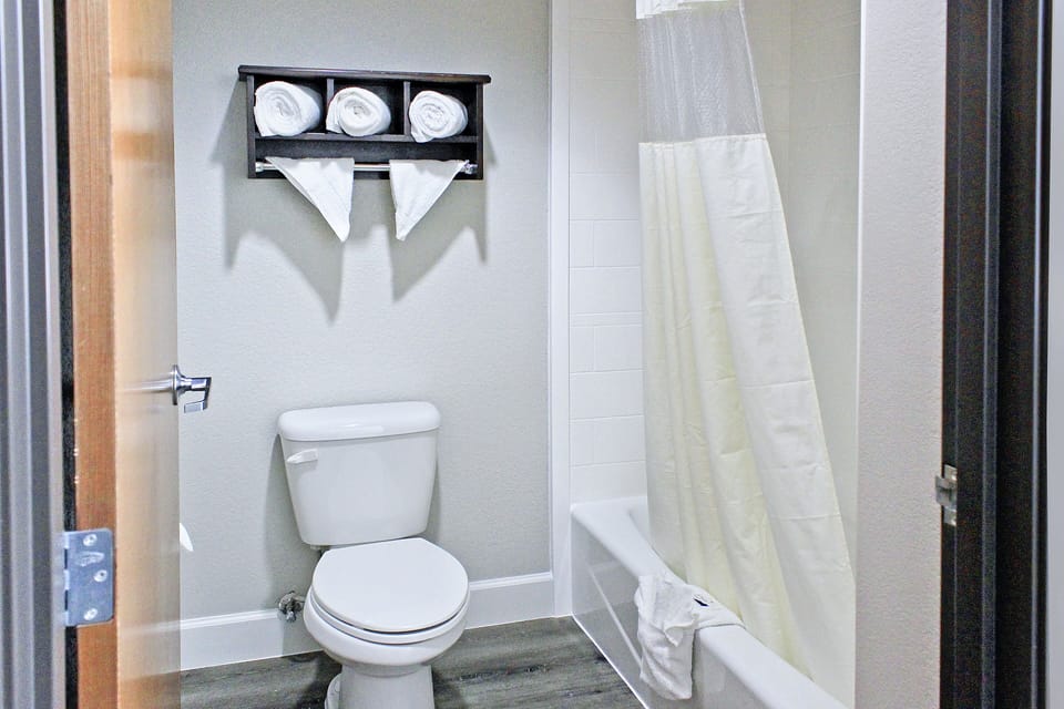 Free toiletries, hair dryer, towels