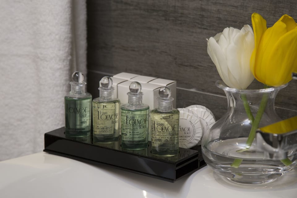 Shower, free toiletries, hair dryer, slippers