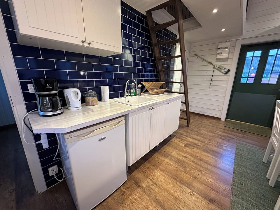 Full-size fridge, microwave, oven, stovetop