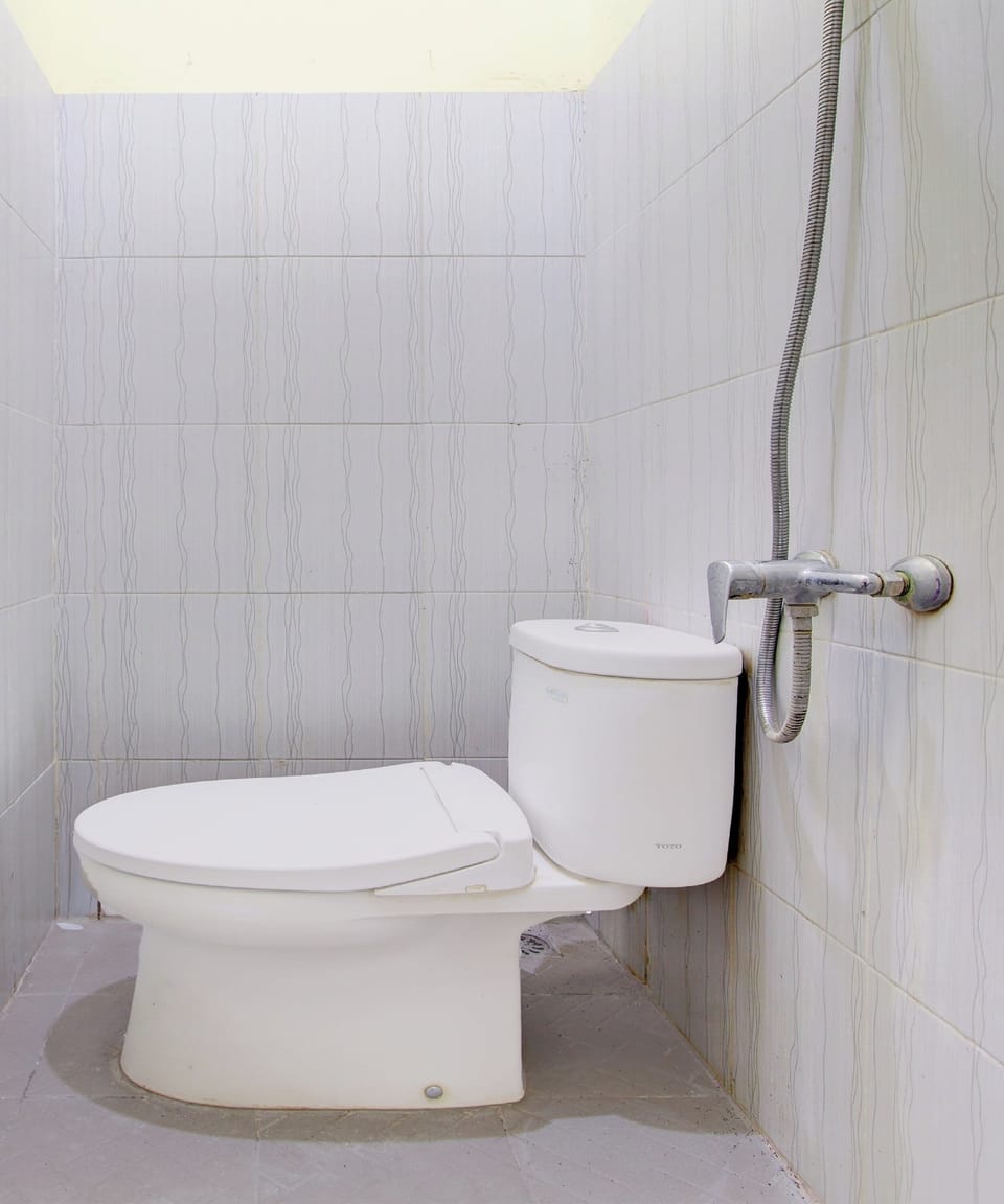 Deluxe Double Room | Bathroom | Shower, free toiletries, towels, soap