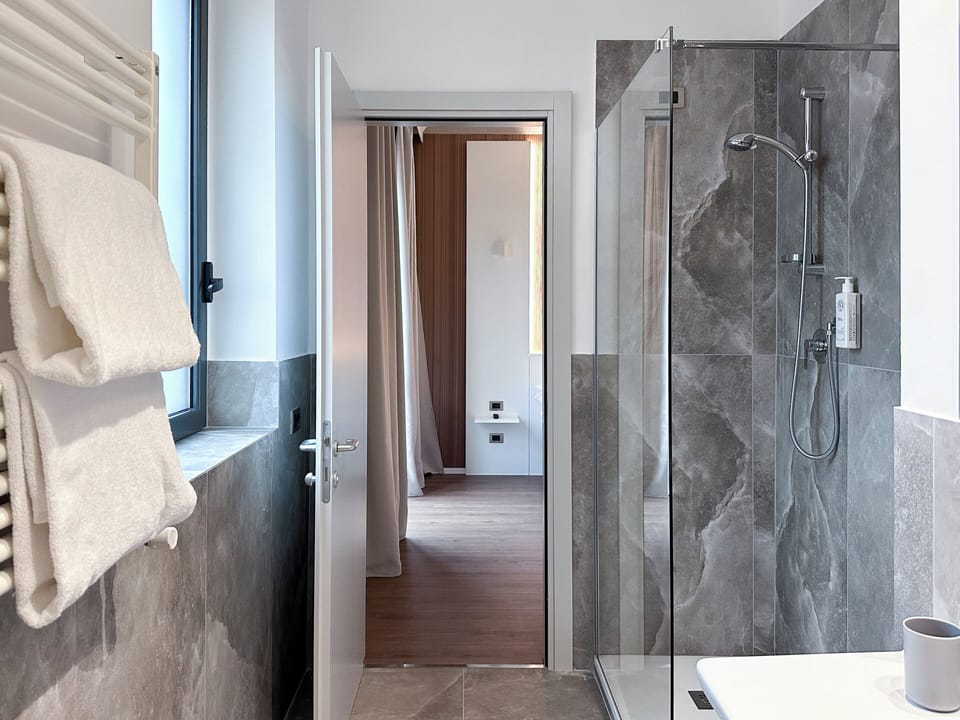 Hair dryer, bidet, towels