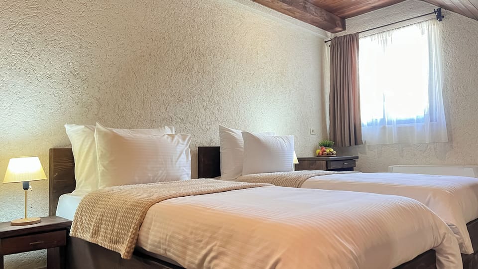 Room, 2 Twin Beds, Non Smoking, Mountain View | In-room safe, desk, iron/ironing board, free WiFi