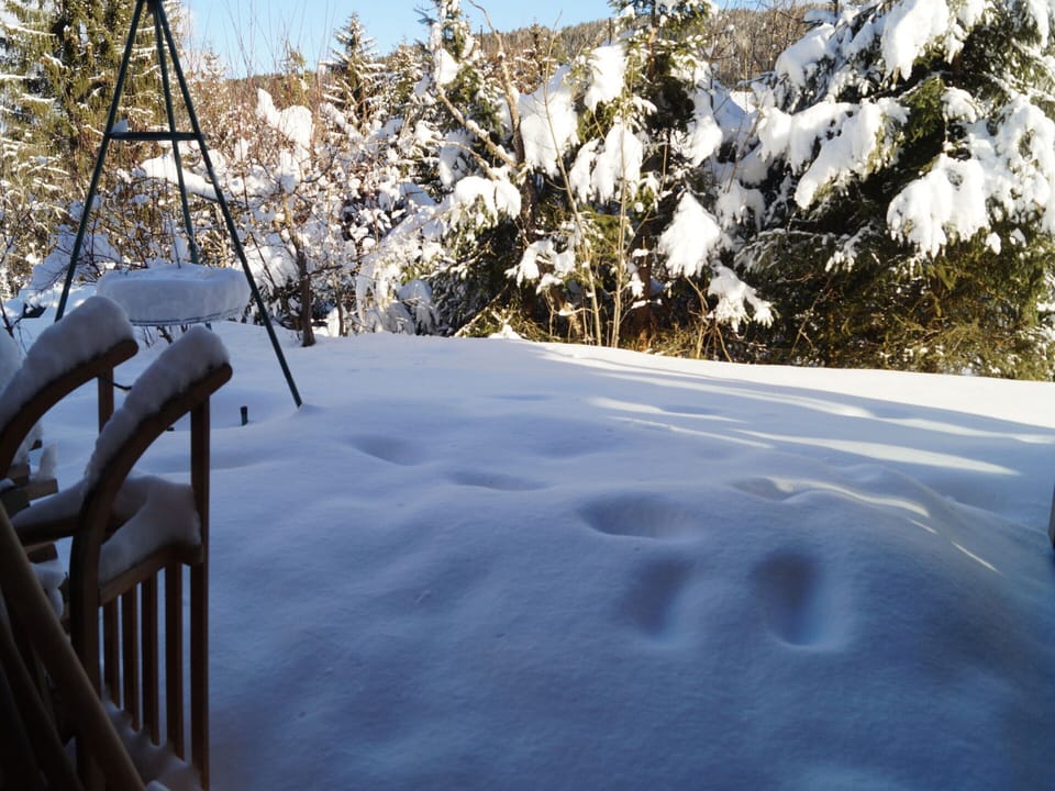 Chalet | View from property