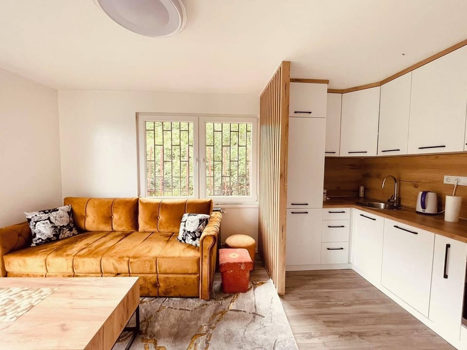Family Apartment, Valley View | Living area | 30-inch flat-screen TV with cable channels